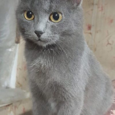 Бусинка